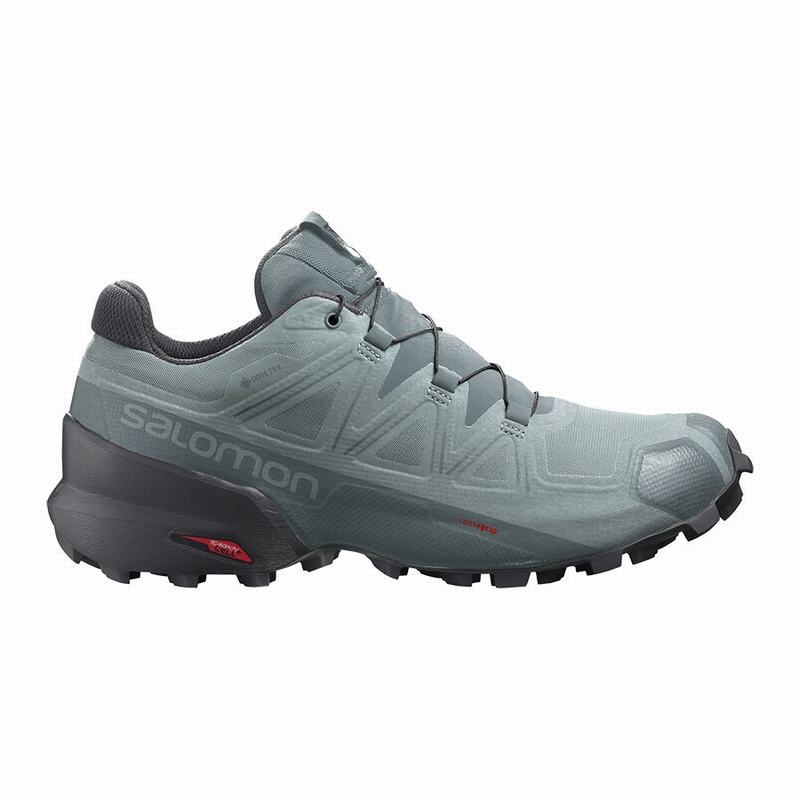 Zapatillas Trail Running Salomon Hombre Verde - Salomon Argentina SPEEDCROSS 5 GORE-TEX ,347829-DNY